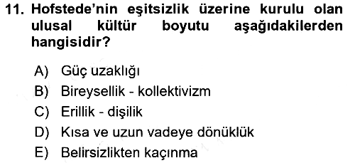 Küresel Pazarlama 2017-2018 Ara Sınav - 11. soru