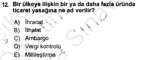 Küresel Pazarlama 2018-2019 Ara Sınav - 12. soru