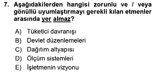 Küresel Pazarlama 2024-2025 Dönem Sonu Sınavı - 7. soru