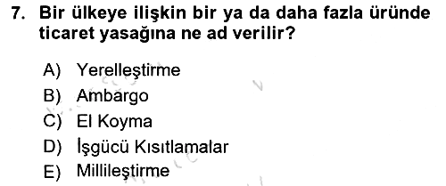 Küresel Pazarlama 2022-2023 Yaz Okulu Sınavı - 7. soru