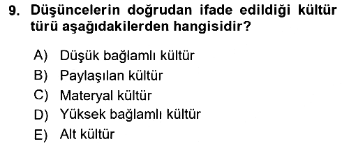 Küresel Pazarlama 2022-2023 Yaz Okulu Sınavı - 9. soru
