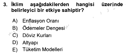 Küresel Pazarlama 2023-2024 Yaz Okulu Sınavı - 3. soru