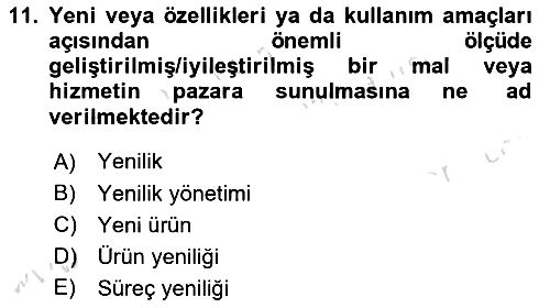 Küresel Pazarlama 2024-2025 Yaz Okulu Sınavı - 11. soru