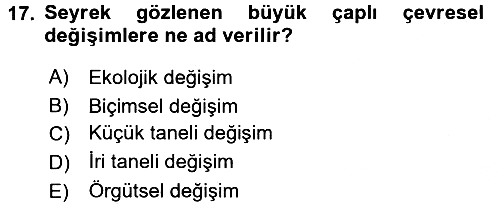 Örgüt Kuramı 2016-2017 3 Ders Sınavı - 17. soru