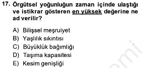 Örgüt Kuramı 2013-2014 Ara Sınav - 17. soru