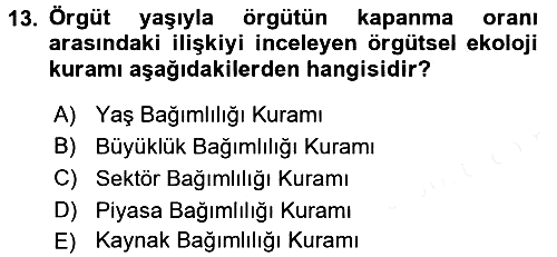 Örgüt Kuramı 2015-2016 Ara Sınav - 13. soru