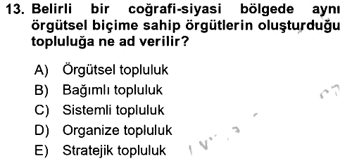 Örgüt Kuramı 2016-2017 Ara Sınav - 13. soru
