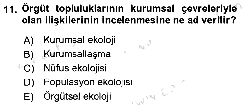 Örgüt Kuramı 2024-2025 Ara Sınav - 11. soru