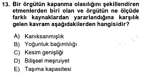 Örgüt Kuramı 2024-2025 Ara Sınav - 13. soru
