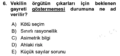 Örgüt Kuramı 2023-2024 Dönem Sonu Sınavı - 6. soru
