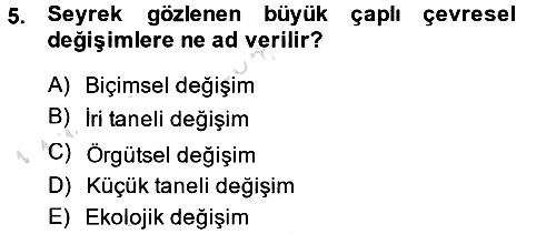 Örgüt Kuramı 2014-2015 Tek Ders Sınavı - 5. soru