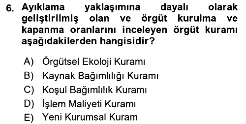 Örgüt Kuramı 2022-2023 Yaz Okulu Sınavı - 6. soru
