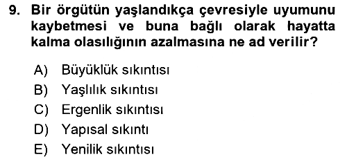 Örgüt Kuramı 2023-2024 Yaz Okulu Sınavı - 9. soru