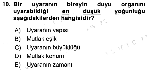 Pazarlamaya Giriş 2024-2025 Dönem Sonu Sınavı - 10. soru