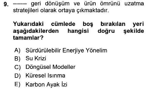 Pazarlamaya Giriş 2021-2022 Yaz Okulu Sınavı - 9. soru