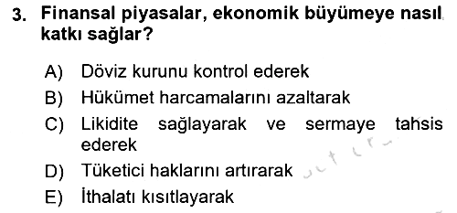 Sermaye Piyasaları ve Finansal Kurumlar 2024-2025 Ara Sınav - 3. soru