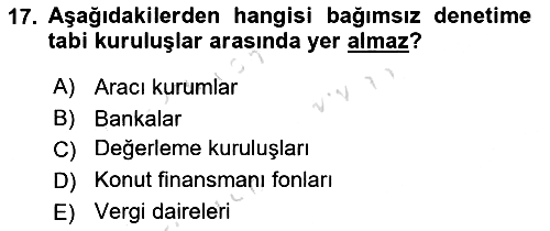 Sermaye Piyasaları ve Finansal Kurumlar 2024-2025 Ara Sınav - 17. soru