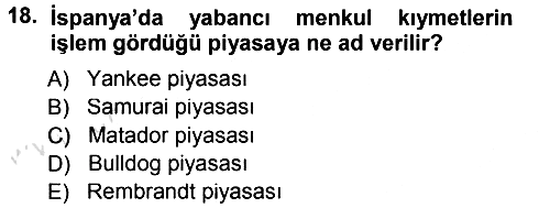 Sermaye Piyasaları ve Finansal Kurumlar 2013-2014 Tek Ders Sınavı - 18. soru