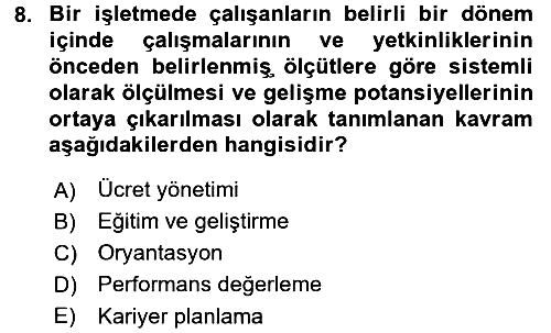 Uluslararası İşletmecilik 2016-2017 3 Ders Sınavı - 8. soru