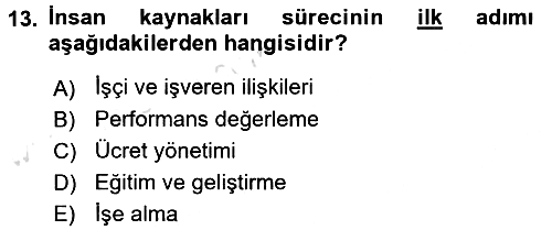 Uluslararası İşletmecilik 2018-2019 3 Ders Sınavı - 13. soru