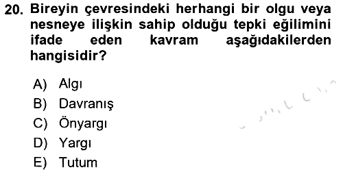Uluslararası İşletmecilik 2018-2019 3 Ders Sınavı - 20. soru
