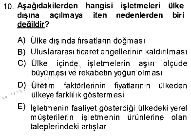Uluslararası İşletmecilik 2013-2014 Ara Sınav - 10. soru