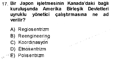 Uluslararası İşletmecilik 2013-2014 Ara Sınav - 17. soru