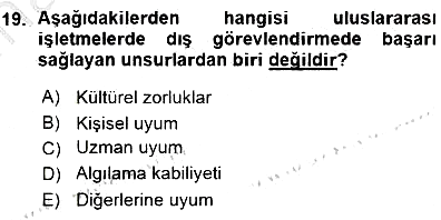 Uluslararası İşletmecilik 2015-2016 Ara Sınav - 19. soru