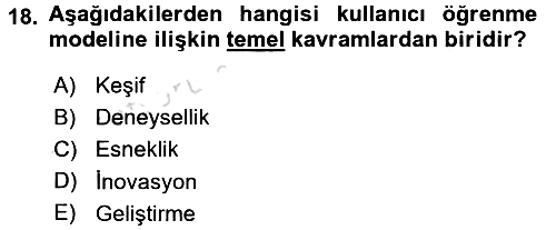 Uluslararası İşletmecilik 2017-2018 Ara Sınav - 18. soru
