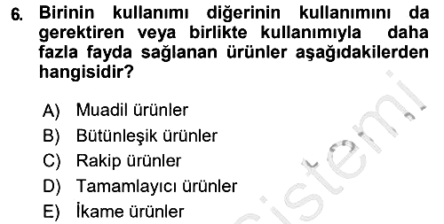 Uluslararası İşletmecilik 2018-2019 Ara Sınav - 6. soru