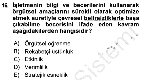 Uluslararası İşletmecilik 2018-2019 Ara Sınav - 16. soru