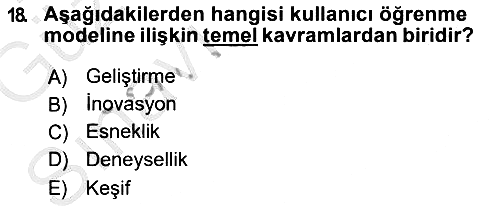 Uluslararası İşletmecilik 2018-2019 Ara Sınav - 18. soru