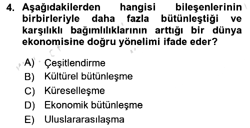 Uluslararası İşletmecilik 2019-2020 Ara Sınav - 4. soru