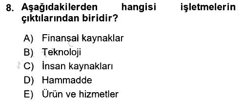 Uluslararası İşletmecilik 2019-2020 Ara Sınav - 8. soru