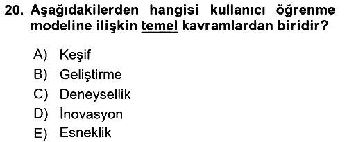 Uluslararası İşletmecilik 2021-2022 Ara Sınav - 20. soru