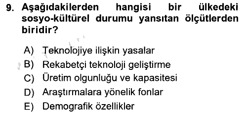 Uluslararası İşletmecilik 2022-2023 Ara Sınav - 9. soru
