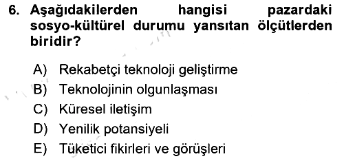 Uluslararası İşletmecilik 2023-2024 Ara Sınav - 6. soru