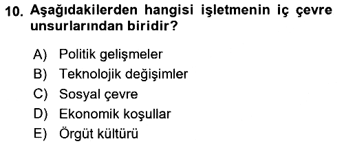 Uluslararası İşletmecilik 2024-2025 Ara Sınav - 10. soru