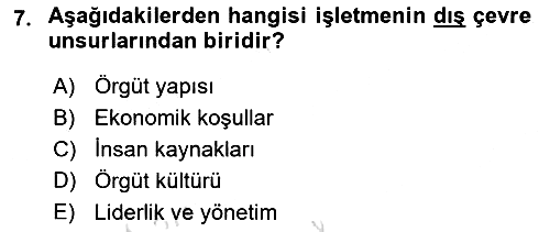 Uluslararası İşletmecilik 2025-2026 Ara Sınav - 7. soru