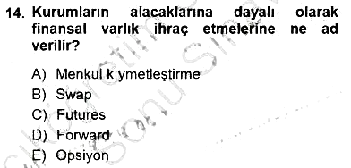 Uluslararası İşletmecilik 2012-2013 Dönem Sonu Sınavı - 14. soru