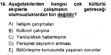 Uluslararası İşletmecilik 2012-2013 Dönem Sonu Sınavı - 16. soru