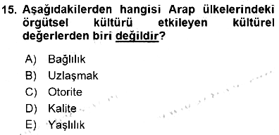 Uluslararası İşletmecilik 2015-2016 Dönem Sonu Sınavı - 15. soru