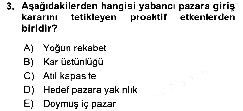 Uluslararası İşletmecilik 2016-2017 Dönem Sonu Sınavı - 3. soru