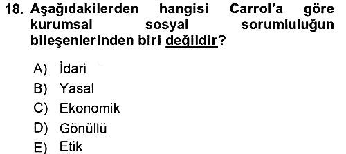 Uluslararası İşletmecilik 2016-2017 Dönem Sonu Sınavı - 18. soru