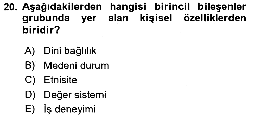 Uluslararası İşletmecilik 2017-2018 Dönem Sonu Sınavı - 20. soru