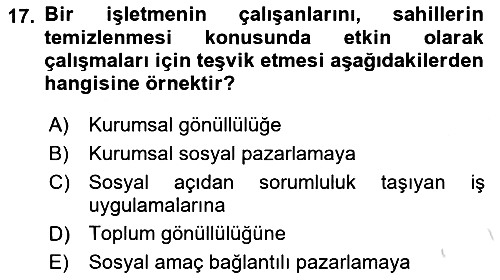 Uluslararası İşletmecilik 2019-2020 Dönem Sonu Sınavı - 17. soru