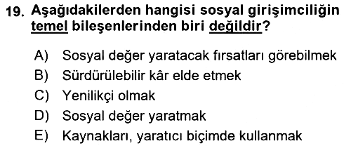 Uluslararası İşletmecilik 2019-2020 Dönem Sonu Sınavı - 19. soru