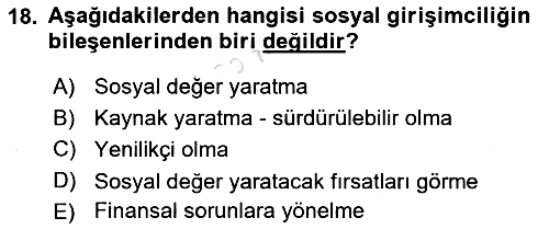 Uluslararası İşletmecilik 2023-2024 Dönem Sonu Sınavı - 18. soru