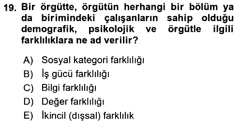 Uluslararası İşletmecilik 2023-2024 Dönem Sonu Sınavı - 19. soru