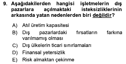 Uluslararası İşletmecilik 2024-2025 Dönem Sonu Sınavı - 9. soru